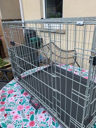 Dog Cage
