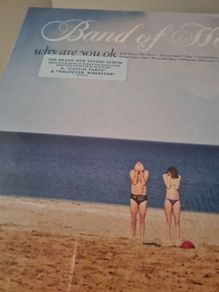 band of horses why are you ok vinyl