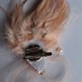 Salmon Pink/Peach Feather 2in1 Fascinator/Brooch Image 6