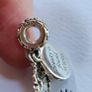 Beauty and the beast Pandora charm Image 8