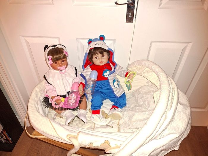 2 Reborn Baby Dolls+Moses basket+over 50 pieces of clothing and accessories, excellent condition