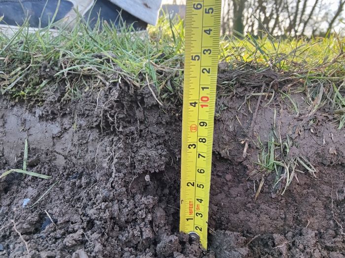 Grass covered soil