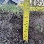 Grass covered soil Image 5