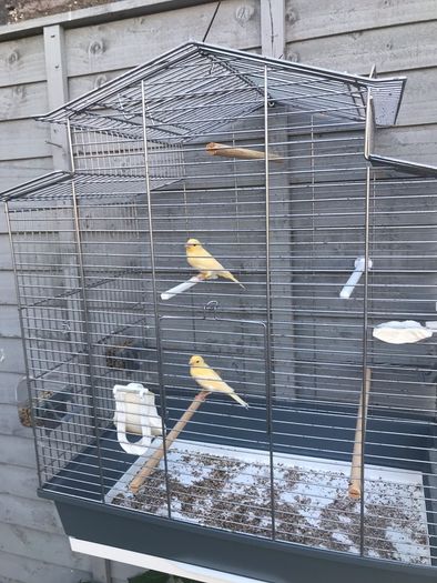 cage