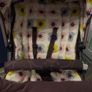 Cosatto Posy Travel System Image 2