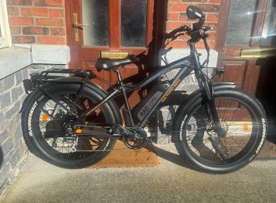 Rad Power Bikes RadRhino 750W Fat Tire Electric bike