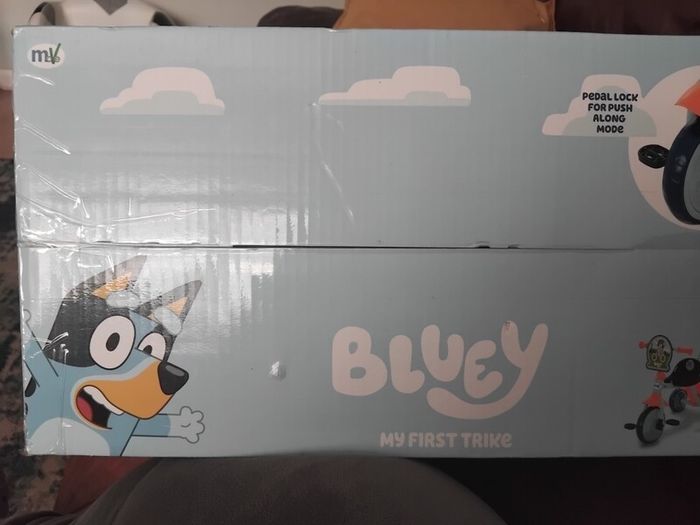 bluey kids trike