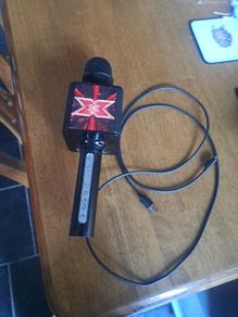 Karaoke Microphone