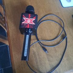 Karaoke Microphone