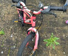 Free kids bike