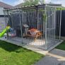 Dog Run Image 2