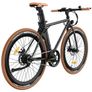 Fafrees F1-38C Electric Bike Image 6