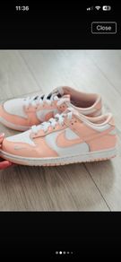 Nike dunks 2.5