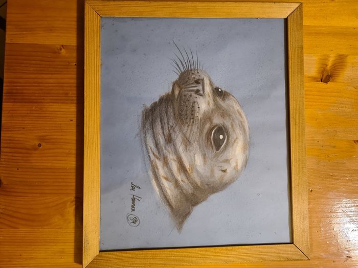 Framed Print Of Grey Seal. In Good Condition.