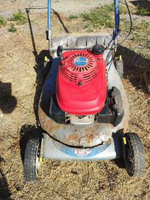 Honda Izzy push lawnmower