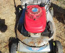 Honda Izzy push lawnmower