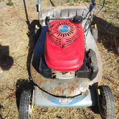 Honda Izzy push lawnmower