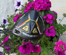 Cobra LTD x LS Driver