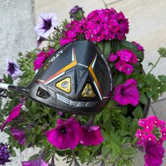 Cobra LTD x LS Driver