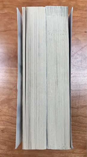 A Good Girl's Guide To Murder & Good Girl Bad Blood by Holly Jackson