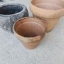 Garden pots various prices Image 2