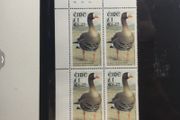 Irish stamps, cylinder block from birds series