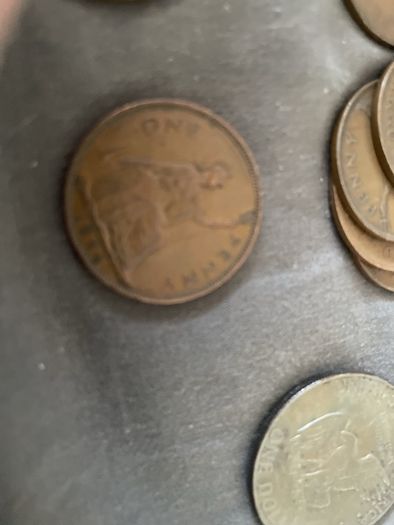 coins