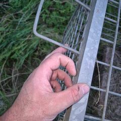 fox trap heavy duty