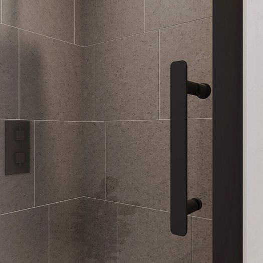 Shower Door