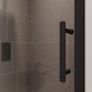 Shower Door Image 2