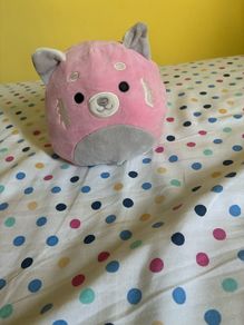 teddy