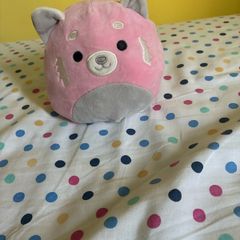teddy
