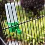 Xl Bird Aviary Cage 146 X 54 X 54 Cm Free Delivery Image 7
