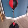 Junior Boxing Ball & Glove Set Image 2