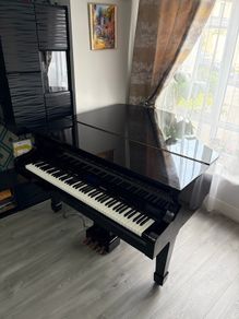 Digital Baby Grand Piano