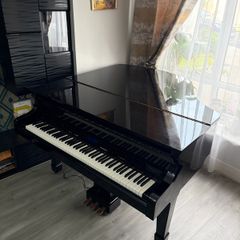 Baby Grand Piano