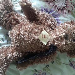 Teddy's