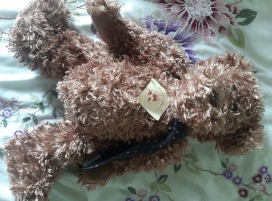 Teddy's