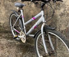 Ladies Bike