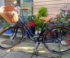 Womens Bike