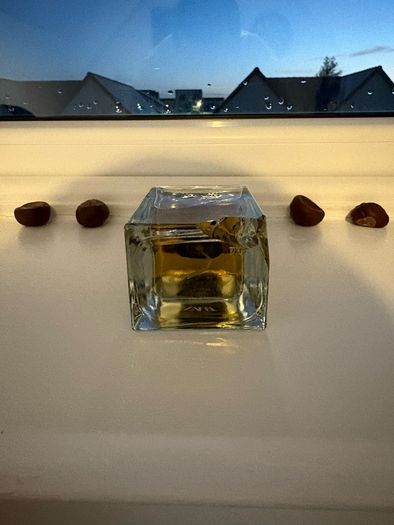 Zara Antique Brown EDP 100 ml