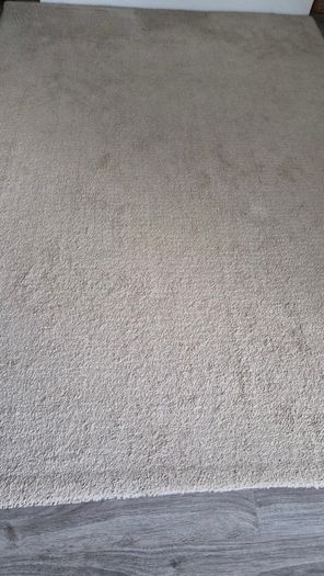 Ikea Rug