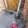50cc strimmer Image 2