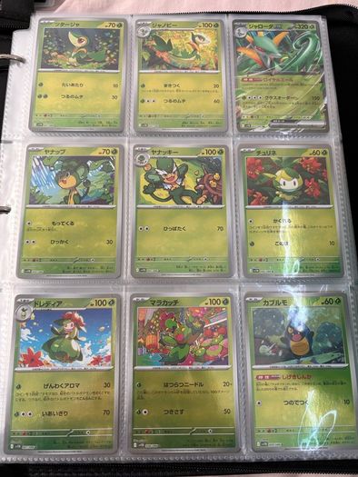 pokemon