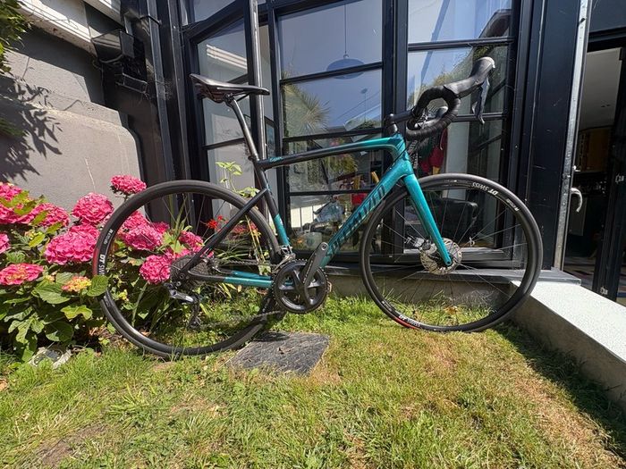 Specialized Mens Tarmac Disc Comp 56 Sagan Collection Ltd Sagan Blue
