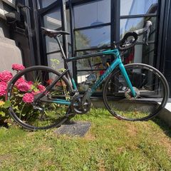 Specialized Mens Tarmac Disc Comp 56 Sagan Collection Ltd Sagan Blue