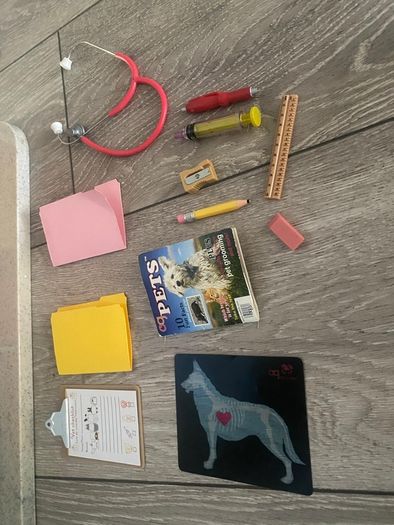 Generation doll vet set and Ice Cream Truck