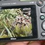 Nikon Coolpix L340 Camera - Black (20 MP, 28x Optical Zoom) 3-Inch LCD Image 8