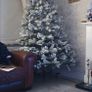 xmas tree Image 4