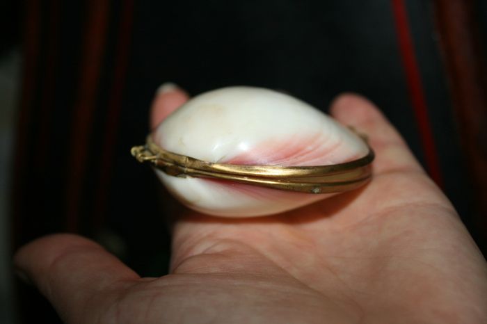 Vintage Genuine Clam Shell Compact Beautiful 2,4"